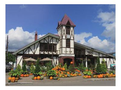 JR北海道 わがまちご当地入場券の発売について