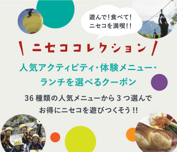 ニセココレクション
